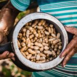 Para preparar um Bolo de Paçoca com Cobertura de Amendoim delicioso e inesquecível, você precisará de ingredientes como paçoc