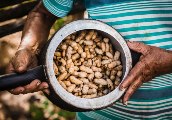Para preparar um Bolo de Paçoca com Cobertura de Amendoim delicioso e inesquecível, você precisará de ingredientes como paçoc